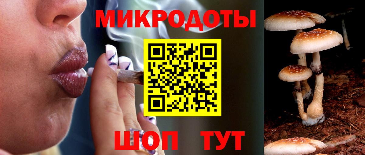 Псилоцибиновые грибы Psilocybe Котельники